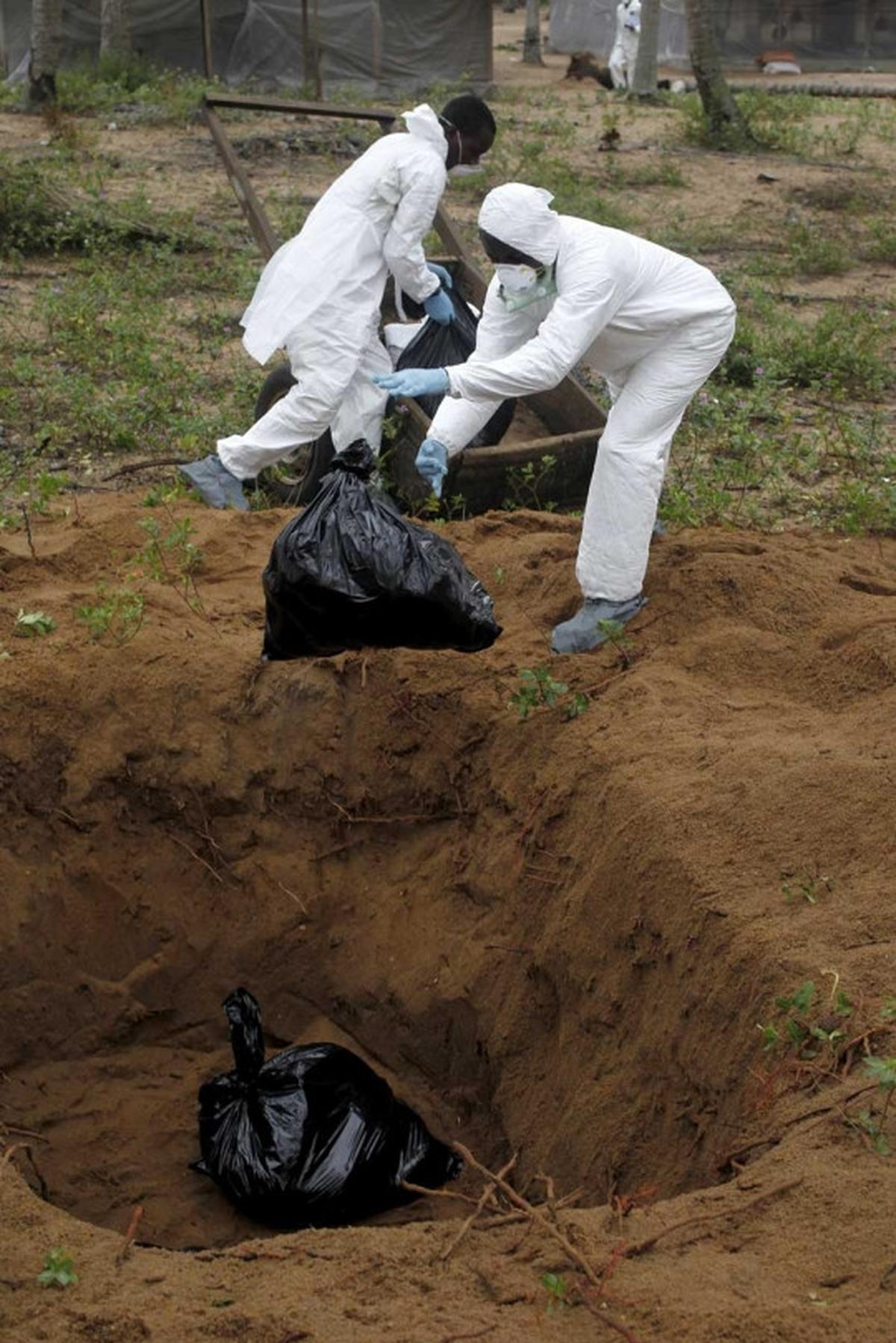 Wabah virus Flu Burung menyebar di Afrika