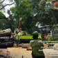 Pohon tumbang&nbsp;di Jakan Sriwijaya 1, Kelurahan Selong, Kecamatan Kebayoran Baru, Jakarta Selatan pada Selasa (16/2/2024). (Foto:Liputan6/Ady Anugrahadi)