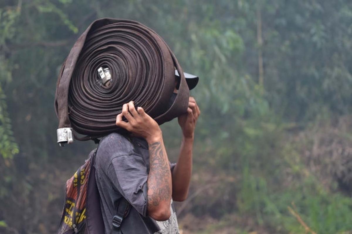 Kisah pekerja kebun kelapa sawit berjibaku padamkan kebakaran hutan