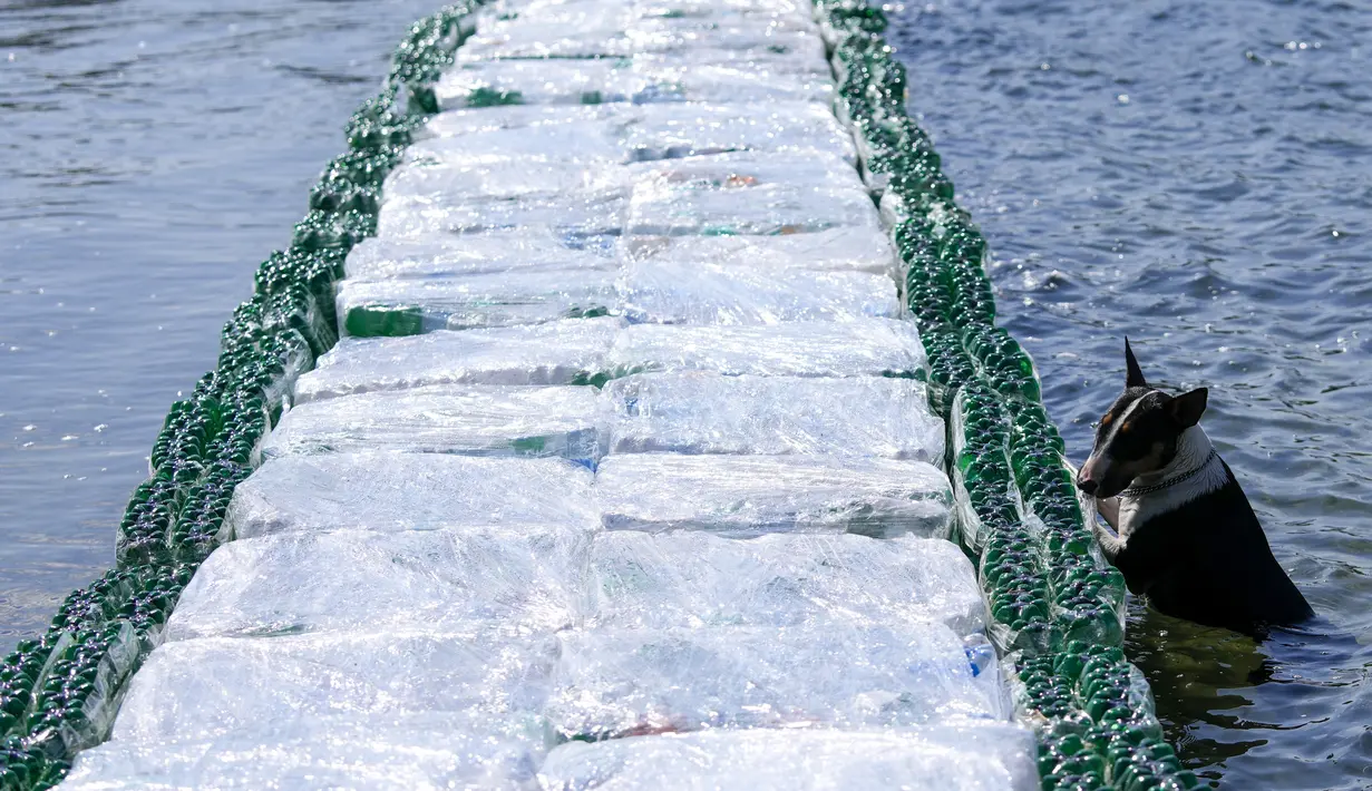 Salah satu tujuan dari aksi ini adalah untuk membangun struktur terbesar di atas danau buatan Ada Ciganlija yang terbuat dari botol plastik yang akan menjadi upaya untuk memecahkan rekor Guinness. (AP Photo/Darko Vojinovic)