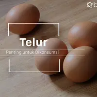 Makan telur bisa bikin kamu dapat manfaat ini. (Foto: Adrian Putra, Digital Imaging: M. Iqbal Nurfajri/Bintang.com)