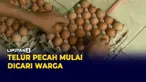Dampak Telur Ayam Mahal, Warga kini Cari Telur yang Pecah