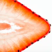 Ilustrasi vagina (iStockphoto)