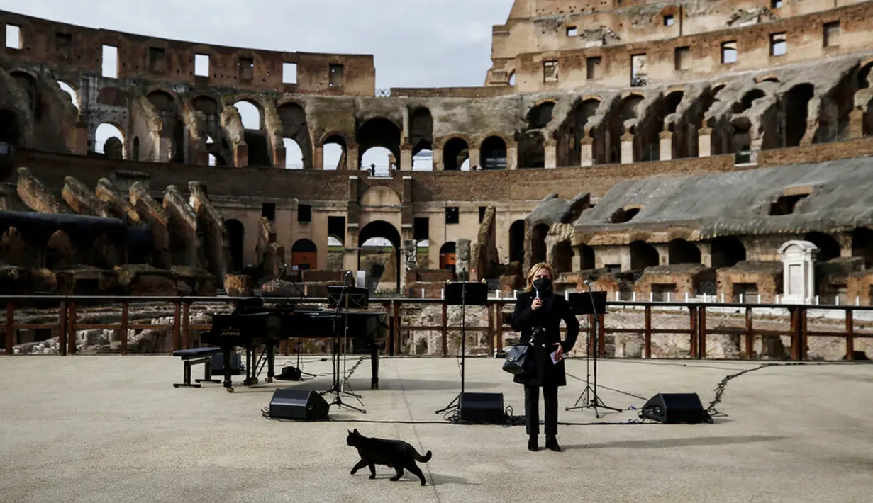 Kucing melintas saat konser yang dipersembahkan untuk pembukaan kembali Colosseum, Roma, Italia, Senin (1/2/2021). Italia mencabut sebagian langkah pembatasan yang bertujuan untuk menahan penyebaran COVID-19 pada 1 Februari 2021. (Cecilia Fabiano/LaPresse via AP)