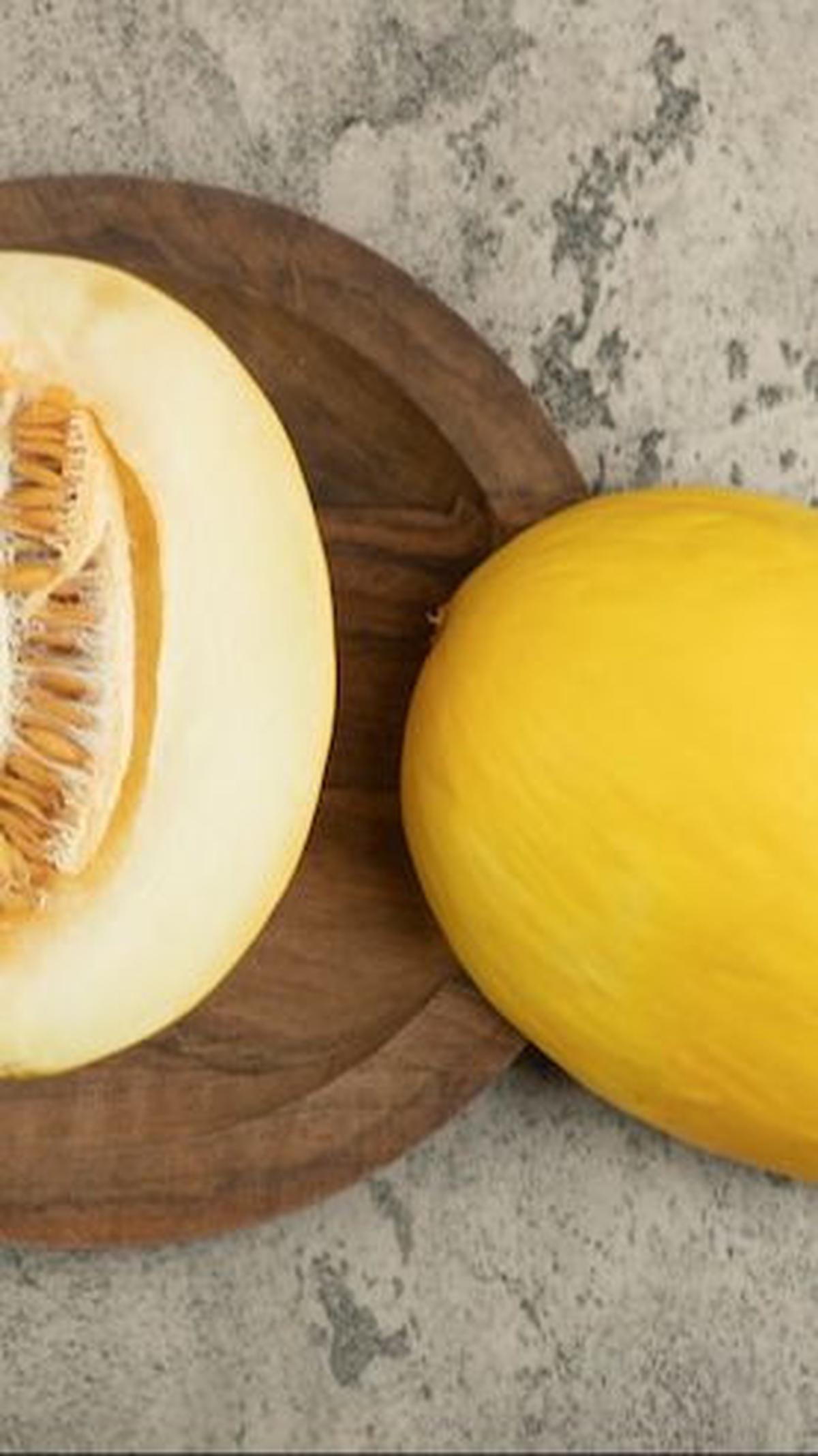 Air hujan justru bisa merusak buah melon