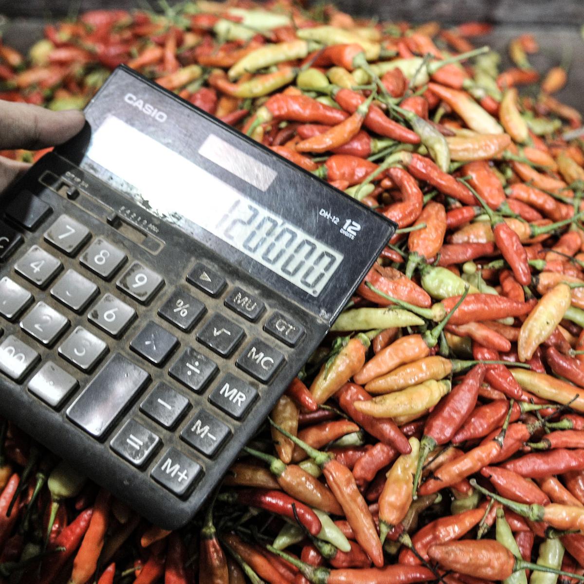 Makin Pedas, Harga Cabai Rawit Di Jember Lebih Mahal Dari Daging Sapi -  Surabaya Liputan6.Com