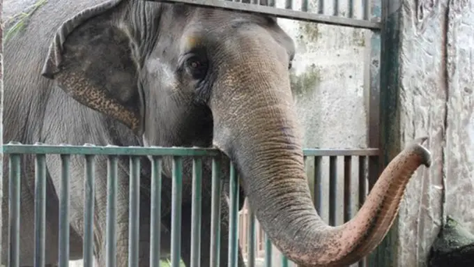 Photo: Copyright metro.co.uk