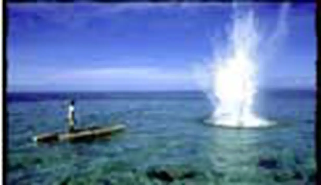 liputan6