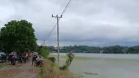 Ribuan Hektare Sawah di Lampung Timur Terendam Banjir, Padi Petani Terancam Gagal Tanam