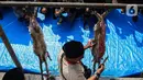 Lebaran Tenabang 2024 akan memukau pengunjung dengan berbagai pertunjukan budaya dan seni Betawai seperti palang pintu hngga lomba "ngeset" atau menguliti kambing. (Liputan6.com/Angga Yuniar)