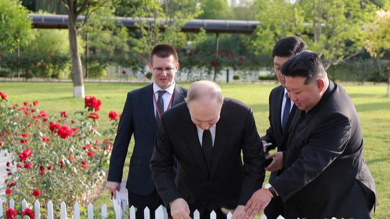 Validimir Putin Dapat Hadiah Anjing