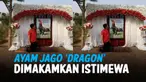 vertical jago