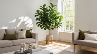 7 Tanaman Indoor Berukuran Besar untuk Ruang Tamu, Bikin Interior Terlihat Lebih Elegan