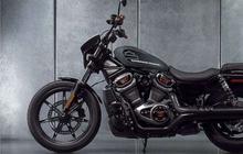 Menanti Harley Nightster 440 Masuk Indonesia, Diprediksi Harganya Rp 100 Jutaan
