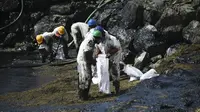 Para pekerja membersihkan tumpahan minyak di Pantai Rockly Bay di Scarborough, Trinidad dan Tobago, pada 10 Februari 2024. Belum diketahui asal usul kapal yang menyebabkan tumpahan minyak tersebut. (Dok. Akash Boodan/AP)