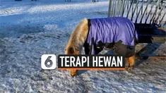 THUMBNAIL terapi