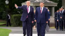 Hadiah Xi Jinping untuk AS: 2 Panda Raksasa dan 100.000 Visa Pelajar