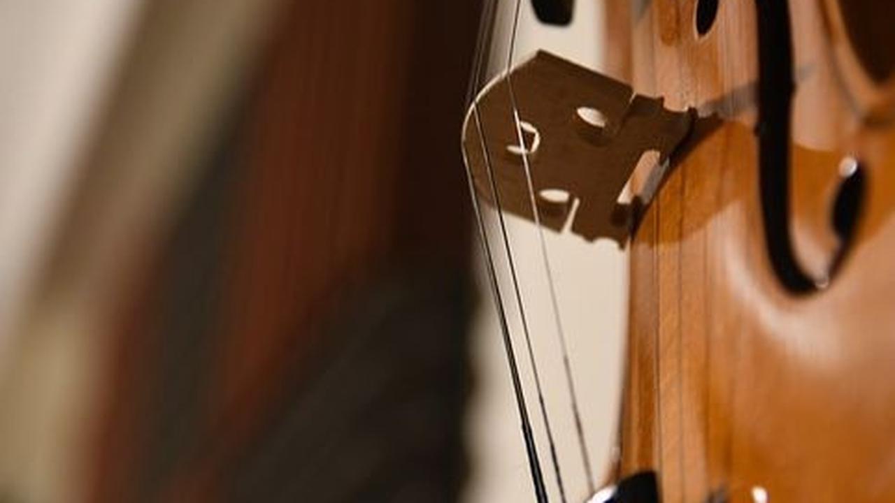 Melalui kecintaannya terhadap musik mampu mengubah cara pandang Einstein dalam memandang dunia dan menemukan inspirasi.