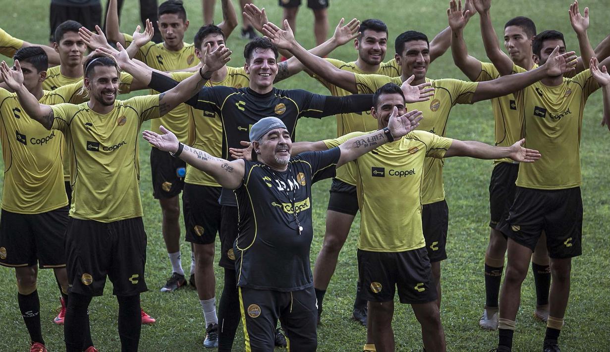 Maradona memimpin latihan pertama dengan klub Dorados dalam suasana penuh sukacita. ( AFP/Rashide Frias )