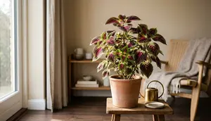 10 Tanaman Hias untuk Orang yang Mudah Bosan, Bikin Hobi Berkebun Jadi Lebih Seru