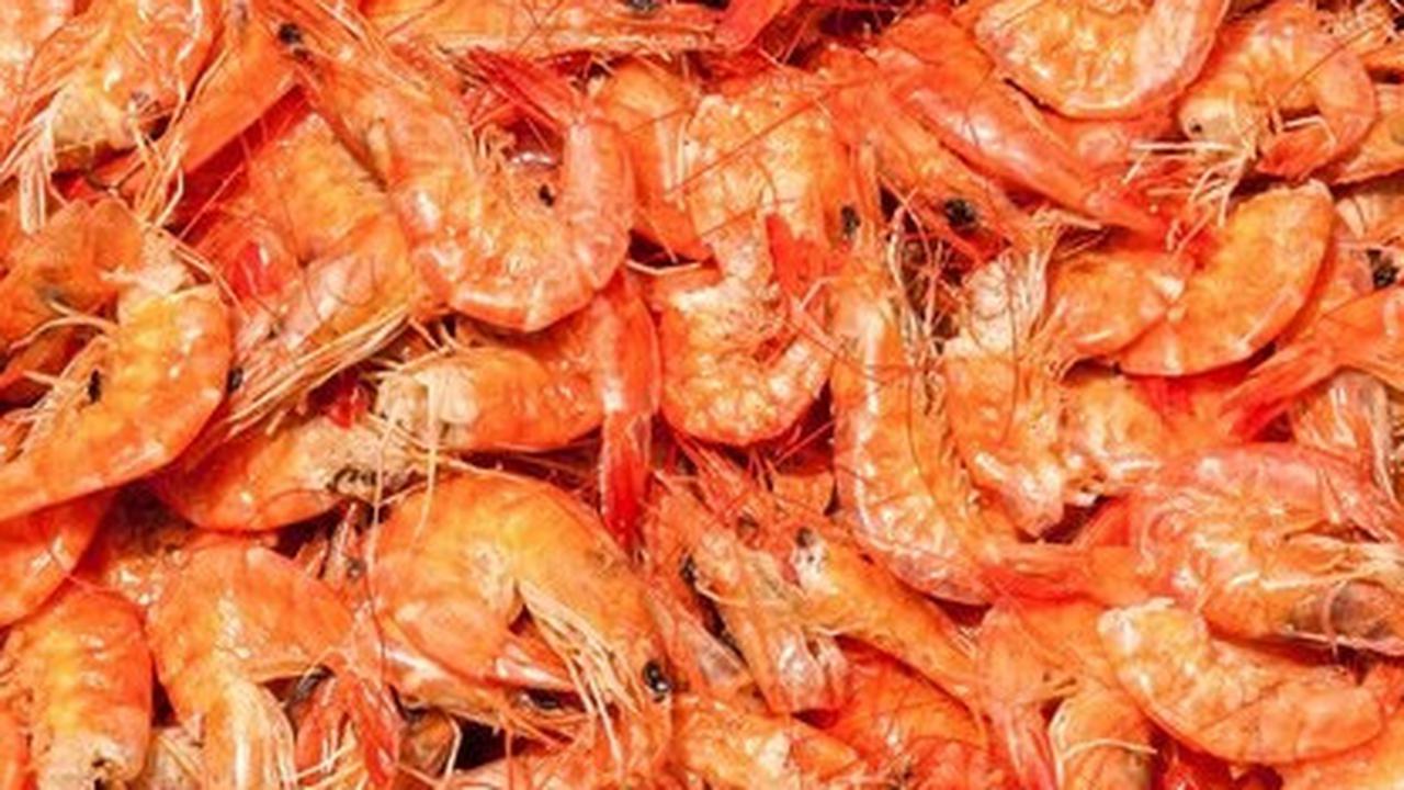 Dengan kreativitas dalam memanfaatkan berbagai jenis udang dan hasil olahannya, Anda dapat menciptakan masakan yang tidak hanya gurih tetapi juga memikat lidah.