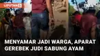 Praktik judi sabung ayam dibubarkan oleh aparat mengundang perhatian