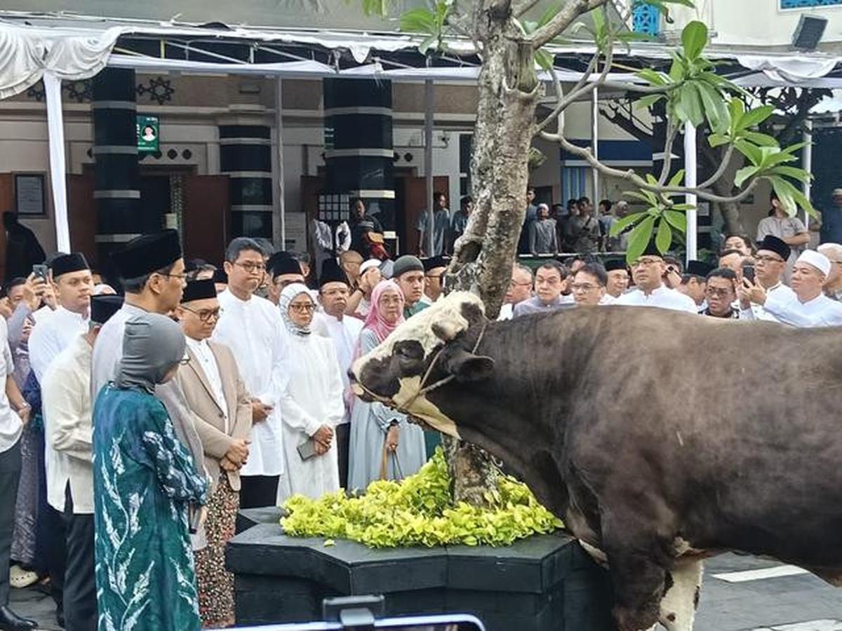 Cerita Warga Pilih Hewan Kurban Lebih Kecil saat Idul Adha 2026
