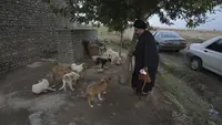 Kaum ulama Iran, yang telah memerintah negara ini sejak Revolusi Islam 1979, menyatakan bahwa anjing adalah hewan yang "najis" dan menganjurkan untuk tidak memeliharanya sebagai hewan peliharaan. (AP Photo/Vahid Salemi)