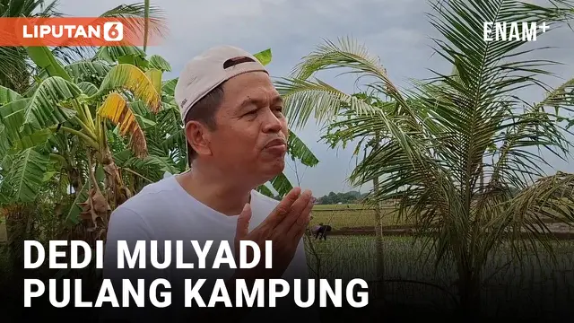 VIDEO: Dedi Mulyadi Bakal Mengantor di 5 Wilayah Jawa Barat
