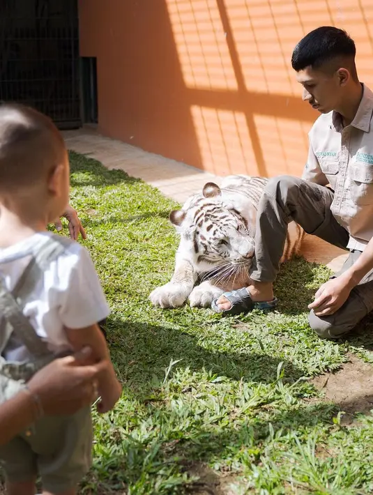 <p>Unggahan tersebut menuai beragam komentar dari netizen. Banyak yang memuji keberanian adik Rafathar Malik Ahmad tersebut. [Instagram/raffinagita1717]</p>