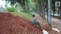 Pekerja menyelesaikan revitalisasi hutan kota di kompleks Gelora Bung Karno (GBK), Jakarta, Selasa (15/10/2019). Pada areal Hutan Kota akan dilengkapi fasilitas restoran dan tempat Meeting, Incentive, Convention, and Exhibition (MICE) dengan konsep indoor-outdoor. (Liputan6.com/Immanuel Antonius)