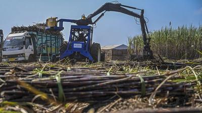 Proyek E10: Strategi Indonesia Kurangi Impor BBM dengan Bioetanol