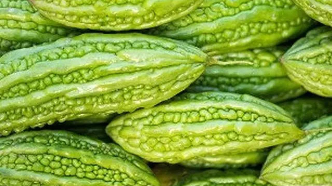 Cara Merebus Pare untuk Bantu Turunkan Kolesterol dan Diabetes