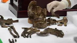 Anggota KIA Korea Selatan untuk Pemulihan dan Identifikasi memeriksa kerangka tentara China, yang terbunuh pada Perang Korea tahun 1950-1953, sebelum ditempatkan ke dalam peti di Osuarium Militer, Incheon, Senin (26/3).  (Jung Yeon-je/Pool Photo via AP)