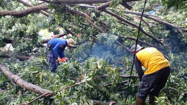 Pohon tumbang akibat angin kencang di Jalan Kalimulya, Kecamatan Cilodong, Kota Depok. (Istimewa)