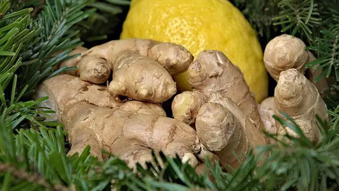 copyright pixabay.com/JerzyGorecki