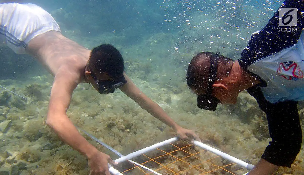 Siswa melakukan pengamatan kondisi terumbu karang pada program Sekolah Pantai Indonesia (SPI) di Pulau Tidung Kecil, Kepulauan Seribu, Jakarta (22/11). Kegiatan Gerakan Cinta Laut oleh KKP menerapkan prinsip dari, oleh dan untuk siswa. (Liputan6.com/KKP)