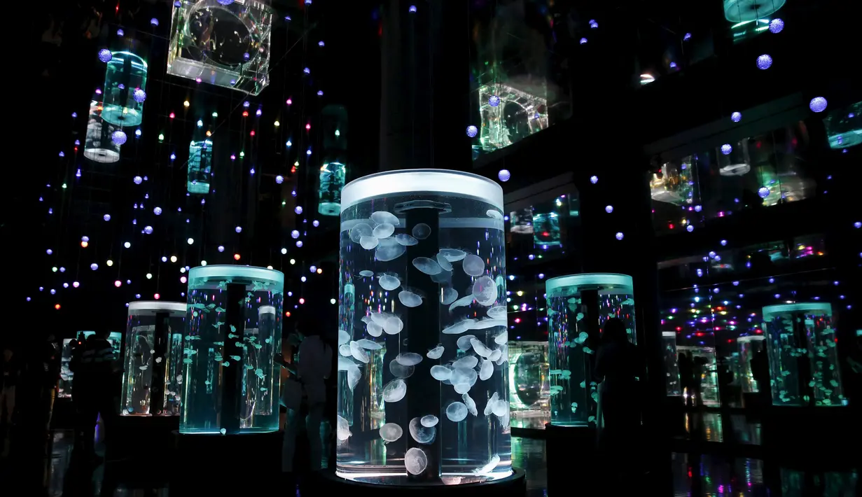Pengunjung melihat Kawanan ubur-ubur di dalam akuarium Epson Aqua Park Shinagawa, Tokyo, Jepang (6/7/2015). Terdapat Ubur-ubur dengan berbagai bentuk saat pembukaan Epson Aqua Park Shinagawa. (REUTERS/Toru Hanai)