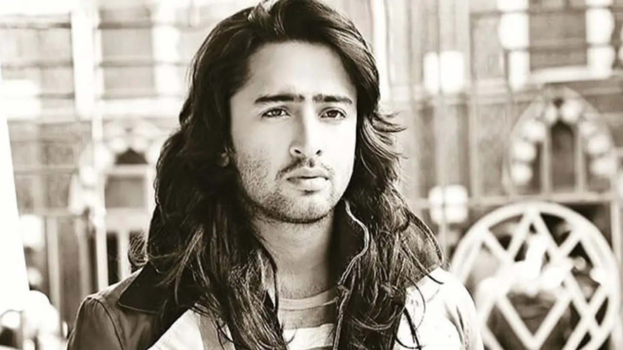 Shaheer Sheikh 