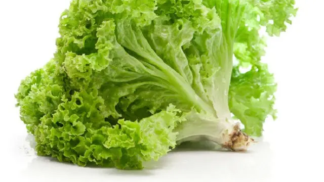 [Bintang] Bau Badan Mengganggu Aktivitasmu? Hilangkan dengan 6 Bahan Alamiah Ini