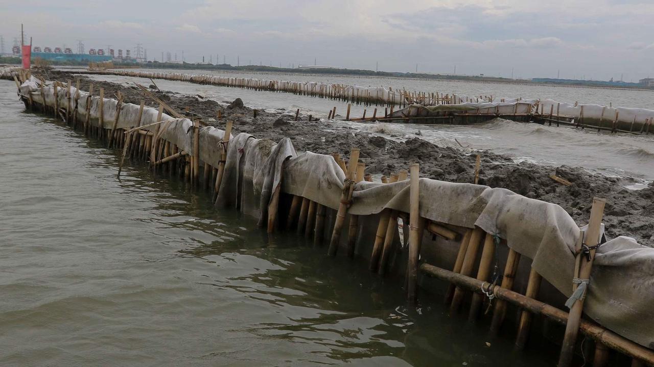 Identitas Pemilik Pagar Laut di Tangerang Akhirnya Terungkap, Kena Denda Rp540 Juta
