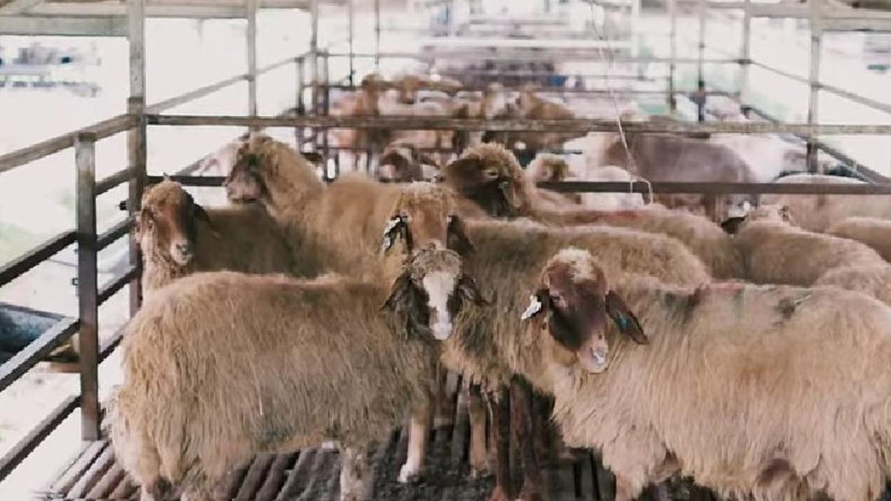 Terus Berkembang