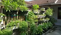 10 Sayuran yang Tidak Perlu Sering Membeli Bibit, Bisa Ditanam Berulang Kali dan Hemat Biaya