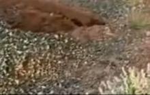 Ada Apa Ratusan Makam di Mekkah Tiba-tiba Amblas? Begini Penampakannya