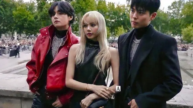 V BTS, Park Bo Gum, Lisa Blackpink