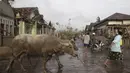 Seorang pria membawa kerbaunya untuk evakuasi melewati rumah-rumah yang tertutup abu menyusul letusan Gunung Semeru, terlihat di latar belakang, di Lumajang, Jawa Timur, Minggu (5/12/2021). (AP Photo/Trisnadi)