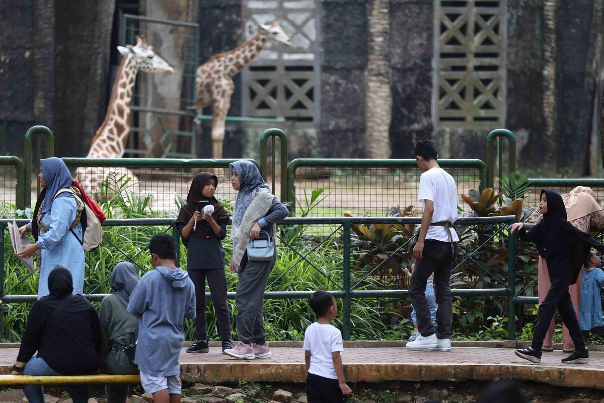 FOTO: Peringatan Maulid Nabi, Ragunan Diserbu Pengunjung