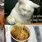 6 Potret Hewan Makan Mi Instan Ini Bikin Geleng Kepala (FB Kucing Gwe 1cak)
