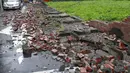 Seorang pria berjalan di antara reruntuhan batu bata sebuah dinding yang hancur akibat Topan Matmo, Taiwan, Rabu (23/7/14). (REUTERS/Pichi Chuang)