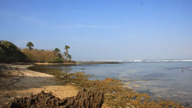 Pantai Plengkung
